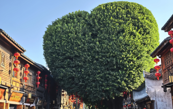 Drei Lanes und sieben Alleys: Ein lebendiges Museum der Hälfte der chinesischen Geschichte-4