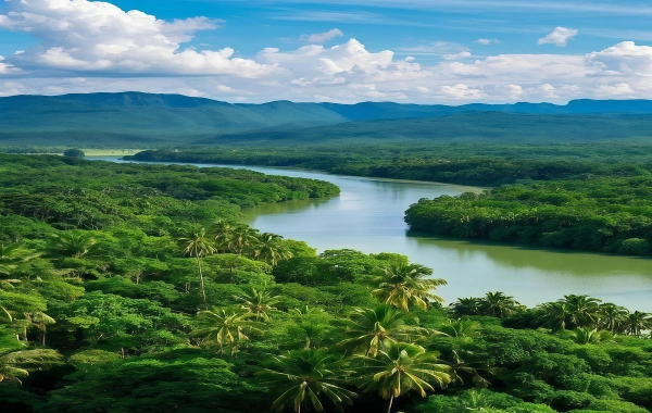 Primeval Forest Park : 공작 왕국과 열대 우림의 비밀 순간-3