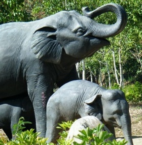 Xishuangbanna Subtropische Natur- und Kulturtour
