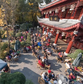 Chengdu Tibet Pilgrimage Tour