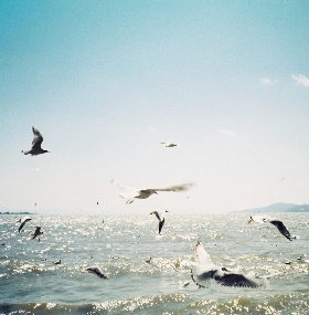 Trip to South of Colorful Clouds