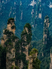 Forêt de Zhangjiajie Montagne Tianmen