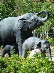 Xishuangbanna Subtropische Natur- und Kulturtour