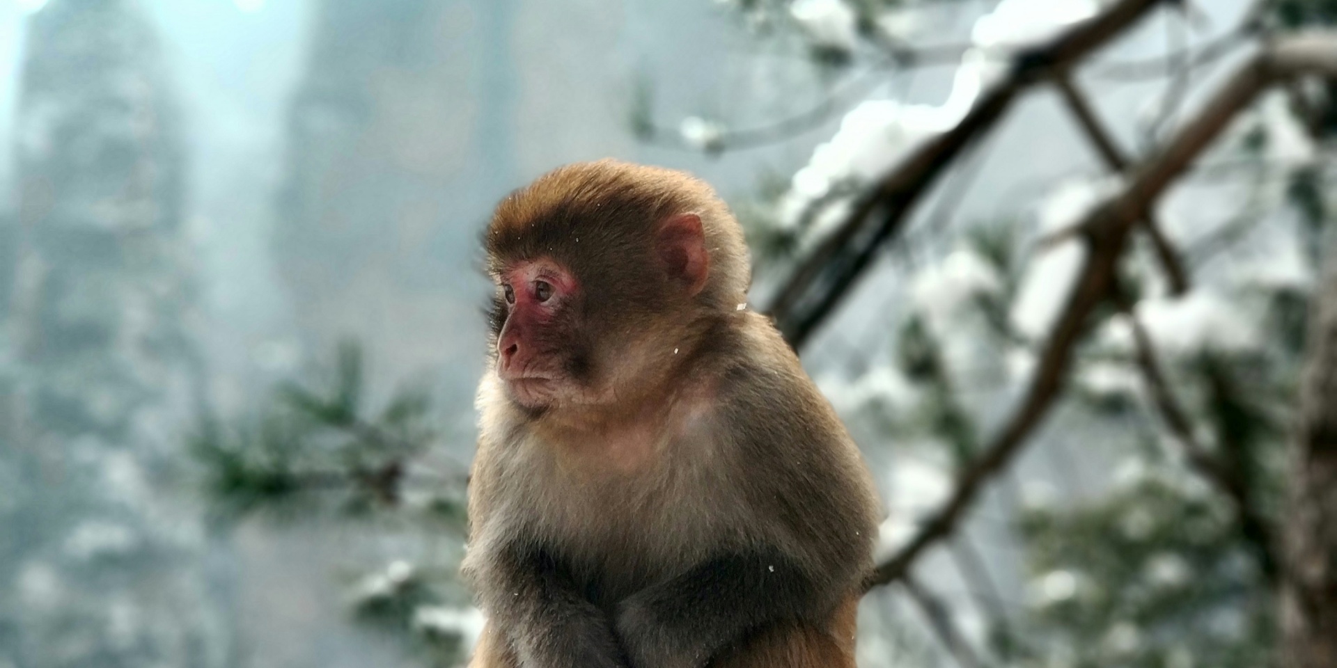 A Comprehensive Overview of Zhangjiajie