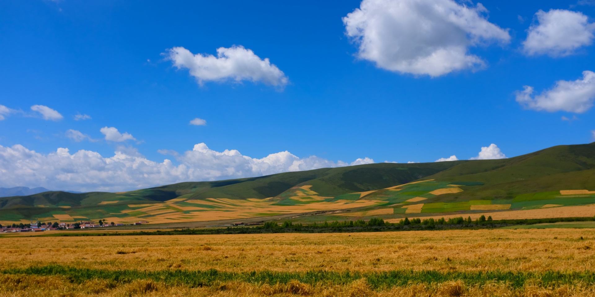 Eine umfassende Übersicht über Qinghai