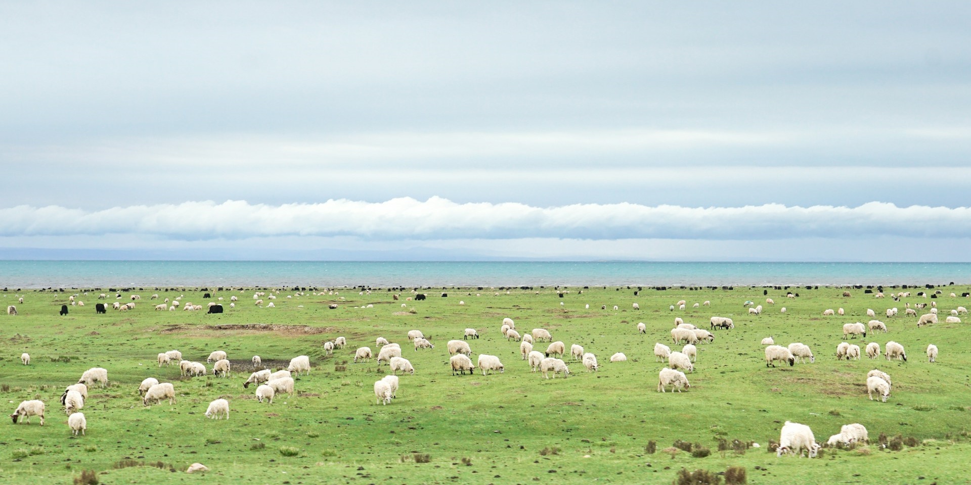 Qinghai Highlands und Tibetische Kultur – 3 Tage