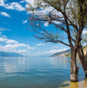 Yunnan's most popular cities (Kunming, Dali, Lijiang, Shangri-La)