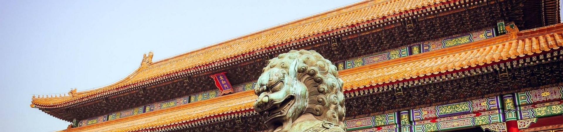 Top 10 de la porcelaine