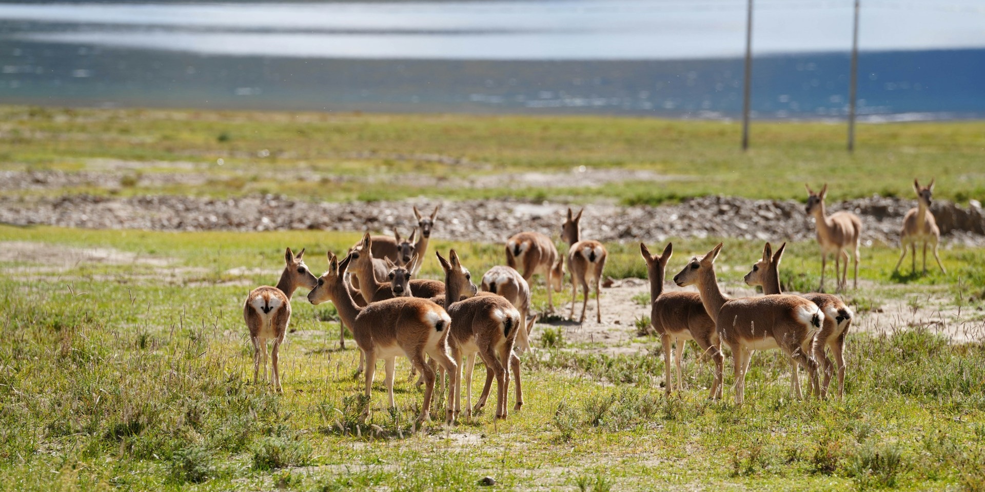Debe saber sobre el permiso de entrada del Tibet