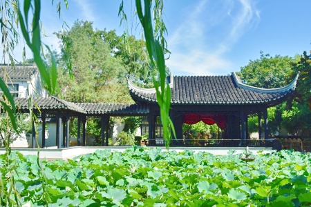 Water town&Mount Huang Tour