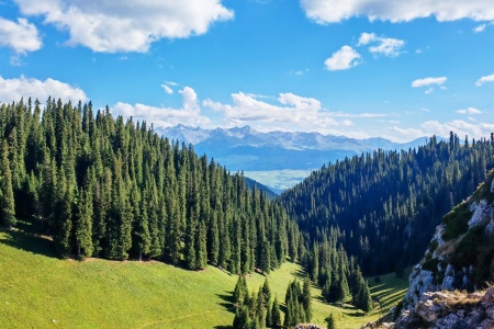 Visite culturelle du Xinjiang