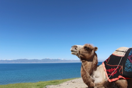 Eine Panoramatour, von Süd-Xinjiang bis Nord-Xinjiang