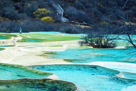 Panda, Ancient Town & Jiuzhaigou-Huanglong Tour