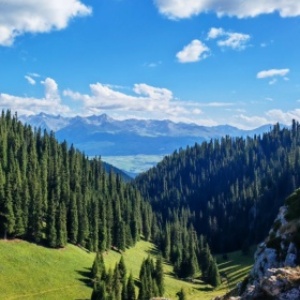 Xinjiang 문화 침수 : 역사 6 일, 전통 및 Scenic 아름다움