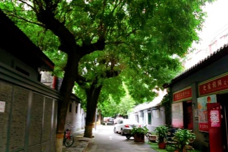 Winter in Beijing: 4 Coziest Hutongs to Explore