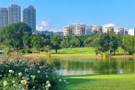 Beautiful Parks to Visit in Shenzhen During Spring 
