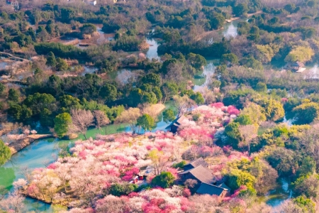 Xixi Wetland: A Jiangnan Style Spot Hidden in the City 