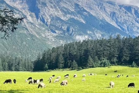 Lijiang to Erhai Lake: 5 Days of Cobblestones & Coastal Breezes