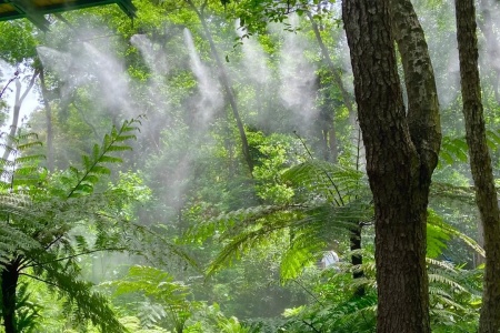 The most beautiful flower viewing route in Chengdu
