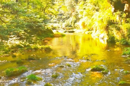 Walk Along Jinbian Creek: The Soul of Zhangjiajie’s Stunning Landscapes