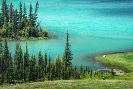 A city with grasslands, forests, and snow capped mountains at the same time