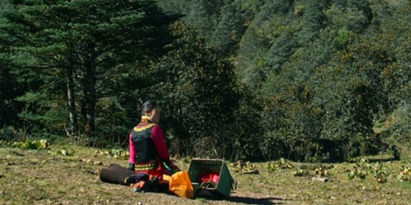 1722667994171.jpg 彝族_副本.jpg