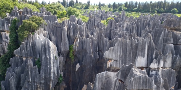 1737104125057.jpg Hippopx_副本_副本.jpg