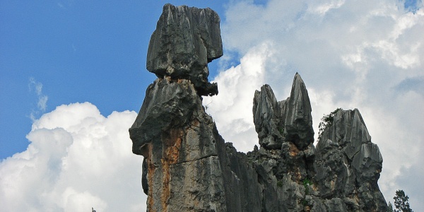 1737104159140.jpg china-yunnan-ashimar-2b732429793c641edbc46411d4c2fdd3_副本.jpg