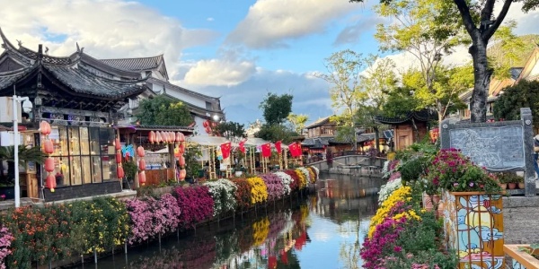 1737106816784.jpg 1.2.jpg