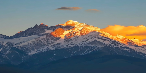 1737107029586.png 1736237832319(1).png