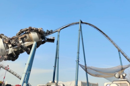 1737518774767.jpg 2.jpg