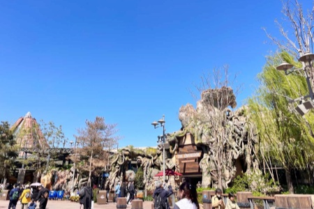 1737523321458.jpg 5.jpg