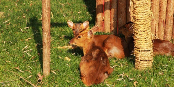 1737523632150.jpg wKgEaVyGLQCAd6v9ABjsK3SO5H450_副本.jpg