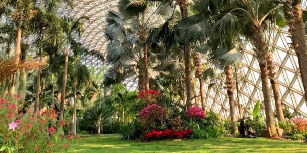 1737523837990.jpg 上海辰山植物园,不去真的会后悔!_1_Erica_Gu_来自小红书网页版_副本.jpg