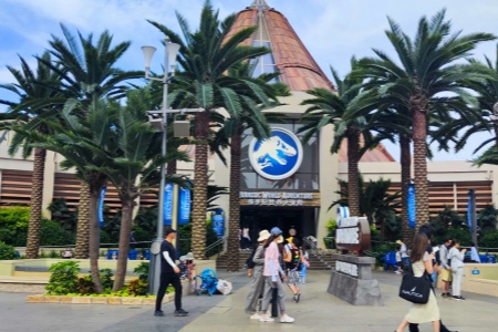 1737524914510.jpg 12.jpg