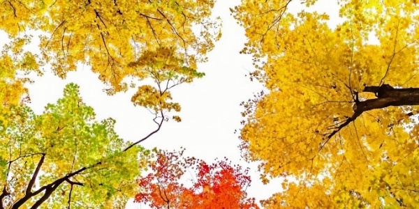 1740625518798.jpg wKgBZ1n28TeAR__qAAZo4FE4rgQ66.jpg