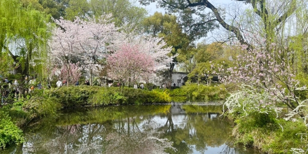 Humble Administrator's Garden.jpg