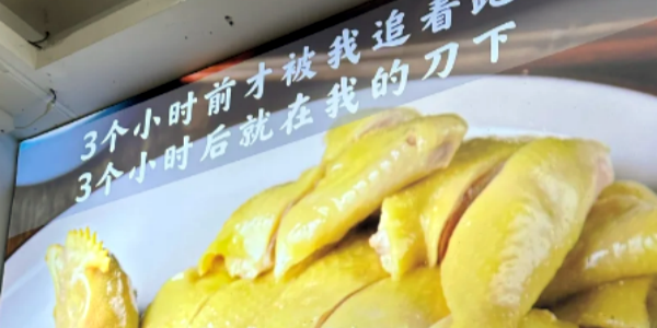 1741154265392.png Hanhai Chicken Rice.png