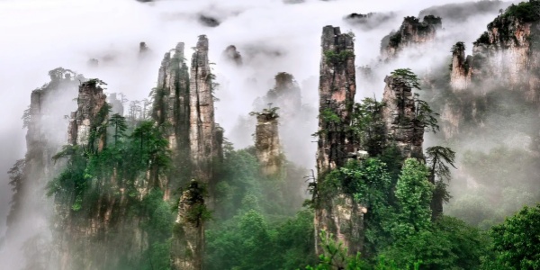 1741250503912.jpg Zhangjiajie National Forest Park,best places to travel in zhangjiajie.jpg