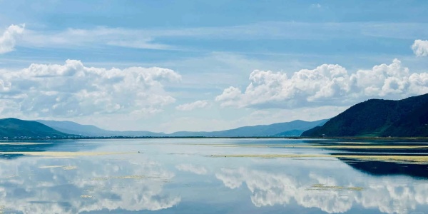 1741686395252.jpg Napa Sea, shangri la.jpg