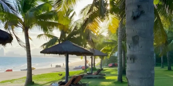 Coconut Dream Corridor，sanya tourist spots,china tour.jpg