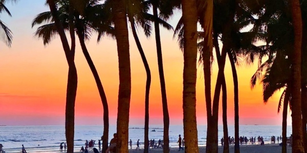 1741772964355.jpg china travel guidelines,sanya,Coconut Dream Corridor.jpg