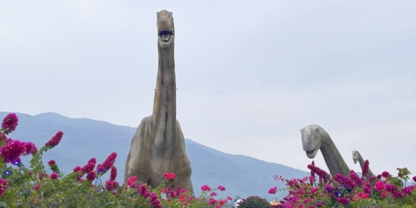 1741831064387.jpg Sanya Haitang Bay Rice National Park,family trip, sanya travel,china tour.jpg