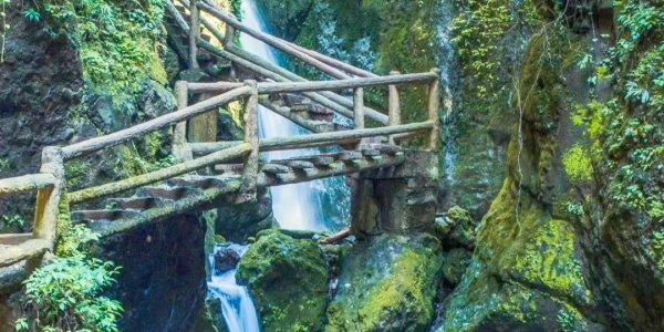 1742269634014.jpg Qingcheng Mountain,family trip,chengdu tour.jpg