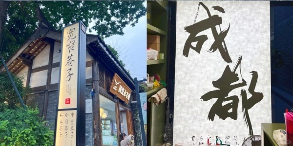 1742269717918.jpg Kuanzhaixiangzi Alleys,family trip,chengdu tour.jpg