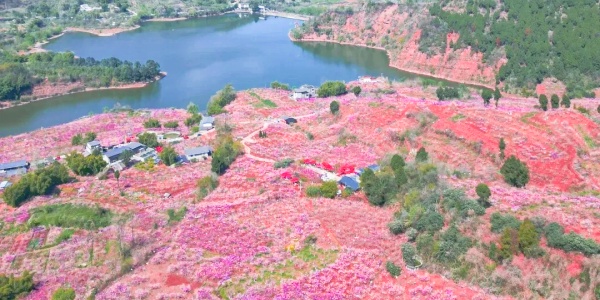 1742275742878.jpg Chengdu,1.jpg