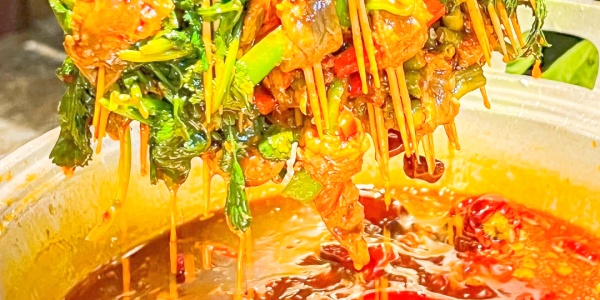 1742349031292.jpg 2.jpg