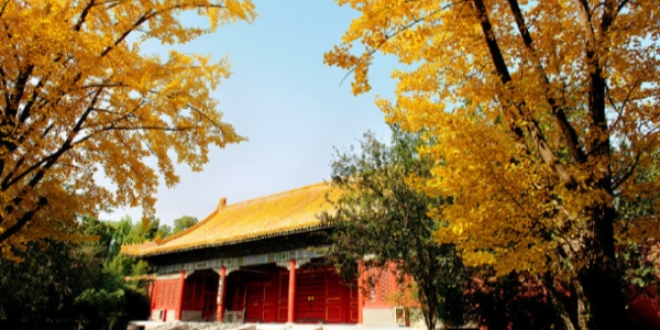 1742873325670.jpg Forbidden City.1.jpg