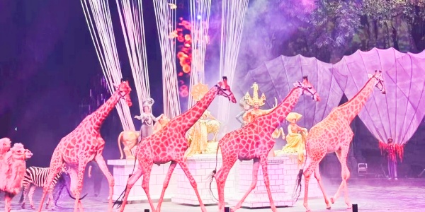 1743400169339.jpg Guangzhou Changlong,3.jpg