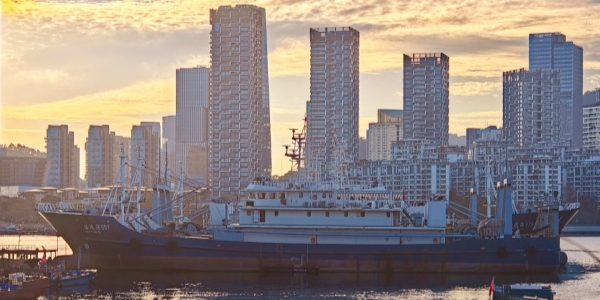 Shekou Fishery Street.jpg